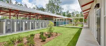 Aiken Animal Shelter Animal Shelter Design Animal Shelter Shelter Design
