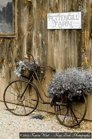 Vintage Bike Accentuates The Barn Wall With Its Arrangements Of Dried Flowers Bicycle Decor Bicycle Garden Art