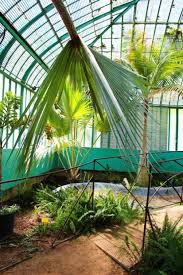 Jardin Des Serres D Auteuil Une Jolie Parenthese Exotique Dans Paris Jardins Paris Et Auteuil