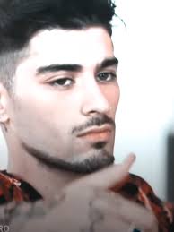 Zayn Malik Farmer Chicken