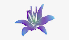 Flower purple, petal, drawing, dance, farandole, blog, patrick fiori, violet, petal, flower, drawing png. Fiori Viola Png Free Transparent Png Download Pngkey