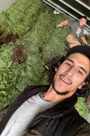 Tree Brothers Christmas Trees