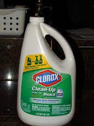 Allow the borax solution to soak into the cushions for a few hours until the mold and mildew stains disappear. B E Interiors Cleaning Outdoor Cushions Cleaning Outdoor Cushions Outdoor Cushions Cleaning