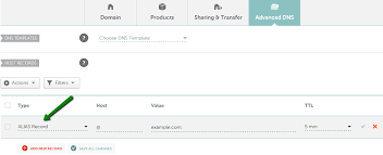 Which Record Type Option Should I Choose For The Information I M About To E