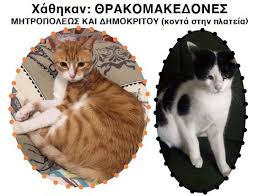 We did not find results for: Xa8hkan Dyo 8hlykes Gates Stoys 8rakomakedones Attikhs Www Zoosos Grwww Zoosos Gr