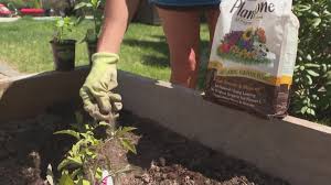 When to plant your garden in georgia. Your Garden Starting Your Garden 13wmaz Com