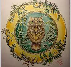 Owl Enchanted Forest Coruja Floresta Encantada Johanna Basford Enchanted Forest Coloring Book Enchanted Forest Coloring Enchanted Forest Book