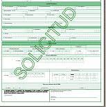 Portal dian > atención al ciudadano > formularios e instructivos. Inscripcion Rut Dian Plan De Cuentas