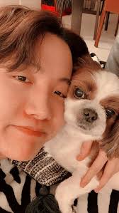 BTS Members and Their Adorable Dogs