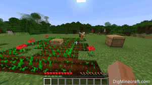 We did not find results for: How To Fertilize Crops With Bees In Minecraft