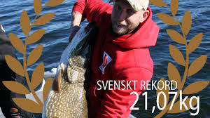 Vad är den största gädda någonsin fångats? Svenskt Rekord Pa Gadda 21 07 Kg Youtube