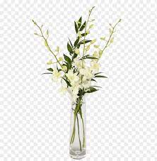 Check spelling or type a new query. Orchid Flower Bud Vase Png Image With Transparent Background Toppng