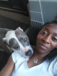 Found Female Pitbull at Work in Kings Mountain Area