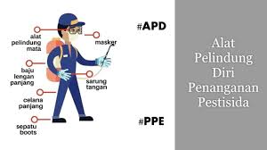 Apakah kalian membayangkan sarung tangan? Alat Pelindung Diri Apd Penggunaan Pestisida Personal Protective Equipment Ppe Using Pesticide Youtube