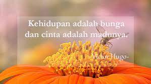 25 kata kata bijak singkat tapi penuh makna & inspiratif. 103 Kata Kata Mutiara Bijak Singkat Islami Cinta Sejati Lucu Sahabat Terbaru Bukubiruku