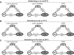 Difficult to evaluate your performance; Plos Biology Discovery Of A White Gray Opaque Tristable Phenotypic Switching System In Candida Albicans Roles Of Non Genetic Diversity In Host Adaptation