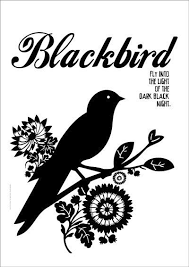 Black Bird In The Dead Of Night Pin By Chanda Lang Halderman On Chanda Likey Beatles Art Blackbird Art Black Bird