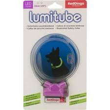 Red Dingo Led Isikli Kopek Tasmasi S M 50cm Boyun Tasmalari