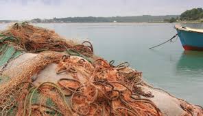 Polemik Kja Benarkah Jadi Penyebab Lingkungan Tercemar