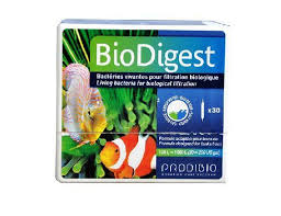 Biodigest Prodibio Canli Bakteri Kulturu 1 Ampul
