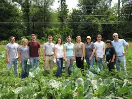 Dc central kitchen ceo mike curtin states the key to effective donor engagement is standing up for your principles. Edgemoor Participates In Gleaning For Dc Central Kitchen