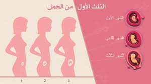 أعراض الثلث الاول من الحمل وكيف يتطور الجنين Deutschland