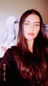 Shasa Grey Video of Her Saying Hello