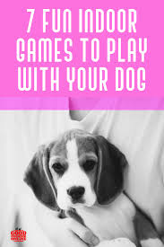 Seven Fun Games To Play With Your Dog Indoors Dogs Dog Training Pet Hacks