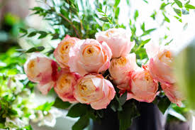 Maybe you would like to learn more about one of these? Flower Outlet Home Facebook