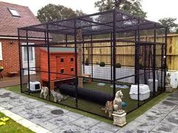 Atau kamu lagi penghematan dalam hal mengurus kucing, wetfood buatan sendiri bisa jadi. Rumah Kucing Diy Pvc Home Desaign
