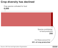 Threat To Food As Biodiversity Declines Bbc Climate