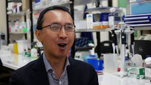 Professor Ian Yang