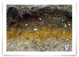 Maybe you would like to learn more about one of these? How To Set Soil Ph For Lawns