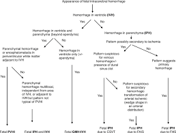 Image result for Hemorrhage Classification
