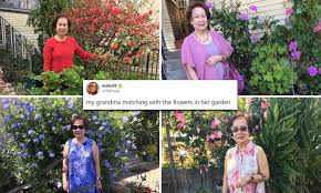 These sweet and simple vector flowers are ready to adorn your projects in my pretty grandmas garden color theme. Grandmother Goes Viral For Matching Her Outfits With The Flowers In Her Garden Daily Mail Online