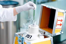 Is Artificial Insemination Right For You? | Wisp