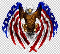 We did not find results for: Bald Eagle Flag Of The United States Tattoo Png Clipart Bald Eagle Beak Bird Bird Of