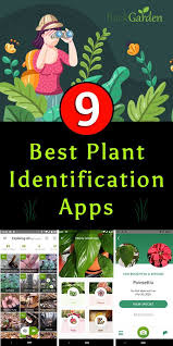 Nature id app 2.8 for iphone free online at apppure. 9 Best Free Plant Identification Apps For Android Ios Plant Identification Plant Identification App Plant App