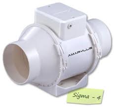 Maybe you would like to learn more about one of these? Amaryllis India