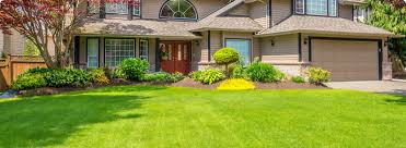 Search results are sorted by a combination of factors to give you a set of choices in response to your search criteria. Landscaping Reno Landscapers Reno Nv Chop Chop Landscaping Reno Nv