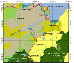 Image result for Swertia usambarensis