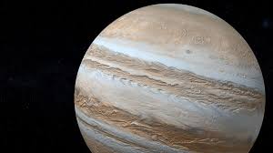 マイナビニュース