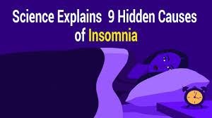 Image result for Insomnia Causes