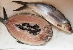 We did not find results for: Anim Agro Technology Ikan Bandeng Popular Di Indonesia