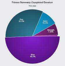 2014 Workout Pie Chart Holistic Athlete