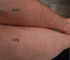 You can easily bleach your own arm hair at home in the comfort of your own bathroom. Using Jolen Cream Bleach To Lighten Leg Hair Color Joeypress