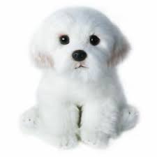 We strive for this realistic quality without compromising the. Bichon Frise Plush Toy Puppy Stuffed Animal Dog Cute Simulation Pets Fluffy Baby Ebay
