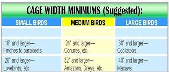 Bird Cages 4 Less Bird Cage Buying Guide