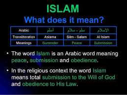 Pin On Islam Is My Deen My Mother Is My Queen And Jannah Is My Dream