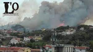 12042 volte ++ incendio pescara: Pescara Vasto Incendio In Zona Colle Renazzo A San Silvestro Foto